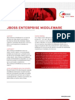 JBoss Enterprise 300507 Esp