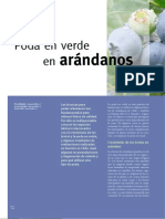 31 Poda - Arandanos