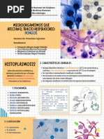 Grupo 13 - Hongos en El Sistema Respiratorio DIAPOSITIVAS