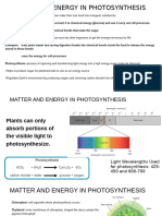 Copy of NOTES Unit 3 Matter and Energy in Living Systems