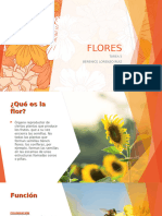 FLORES