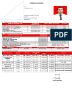 CURRICULUM VITAE