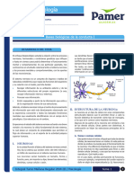 Psicología_1_ Bases Biologicas de La Conducta I