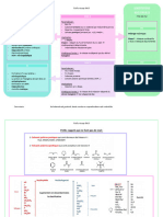 FICHE - RECAP SN-E