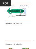 ANTENAS Y CONECTORES