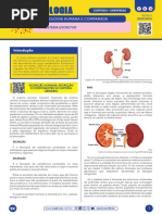 11.4 SISTEMA EXCRETOR - TEORIA + QUESTÕES ORIENTADAS