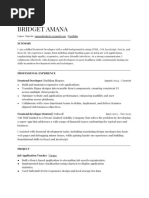 Bridget Amana - Cv.pdf