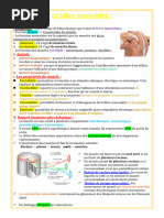 7-Le bilan musculaire