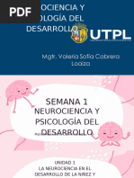 SEMANA 1 NEUROCIENCIA Y PSICOLOGÍA DEL DESARROLLO