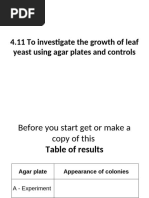 3.1.4 Leaf Yeast Procedure