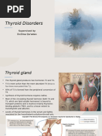 Thyroid Disorders 2023