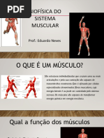 Aula 7 - contração muscular