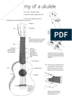 Anatomy of A Ukulele