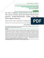 The effect of different rooting hormones on the survival of three species of bamboo species giant bamboo-Dendrocalamus giganteus, machiku-Dendrocalamus latiflorus and spiny bamboo-Bambusa blumeana)