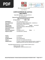 PDF Documento