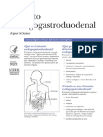 Serie Esfogagogastroduodenal