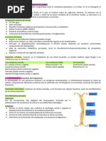 TEMA 7. BIOLOGíA