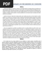 PDF Documento