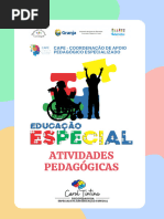 ATIVIDADES EDUCAÇÃO ESPECIAL 2025