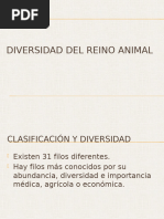 DIVERSIDAD DEL REINO ANIMAL1