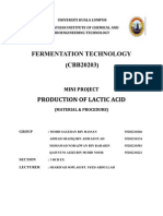 Lactic Acid Production