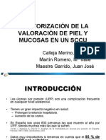 MONITORIZACIÓN DE LA VALORACIÓN DE PIEL Y MUCOSAS. Original