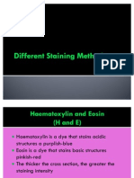 Different Staining Methods