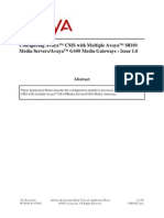 Configuring Avaya™ CMS With Multiple Avaya™ S8100 Media Servers/Avaya™ G600 Media Gateways - Issue 1.0