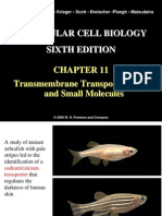 Ch11 Trans Membrane Transport of Ions and Small Molecule