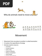 Why Do Animals Need To Move Anyway?