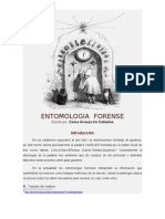 Entomologia Forense