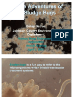 Adventures of Sludge Bugs