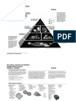 Mod11.Food Pyramid1.06.04