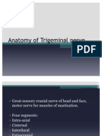 Anatomy of Trigeminal Nerve