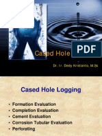 Cased Hole Logging