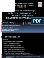 Seminario Hongos Revisado