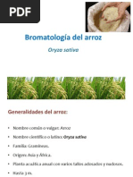 Bromatología Del Arroz