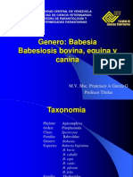 Babesia y Babesiosis Nueva