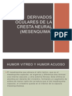 Derivados Oculares de La Cresta Neural (Mesenquima