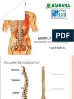 Medula Espinhal