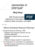 Fundamentals of Erp/Sap: Ming Wang