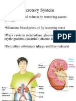 Excretion I