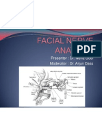 Facial Nerve Anatomy and Its Disorders