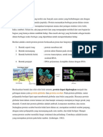 Struktur Dan Penggolongan Protein, Makalah