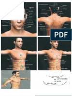 Puntos de Rastreo para Par Biomagnetico Minifotos