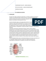 Relatorio Anatomia Dentaria