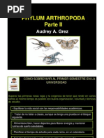 Clase 6 Artropodos 2