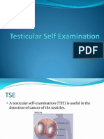 Testicular Self Examination