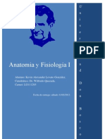 La Homeostasis en El Sistema Óseo