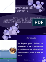 4 Germinação E Dormencia